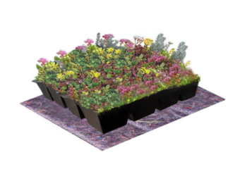 Biodivers Sedum Kruidentray Cassette